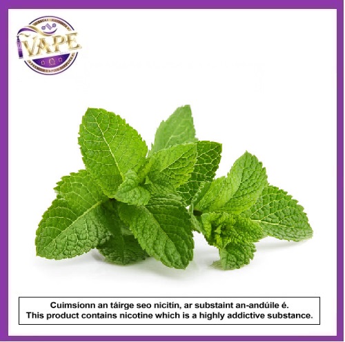 Menthol Eliquid by iVape 10ml